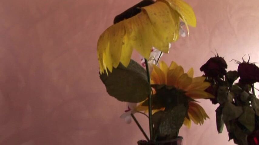 Asian Hardcore HCVA0042