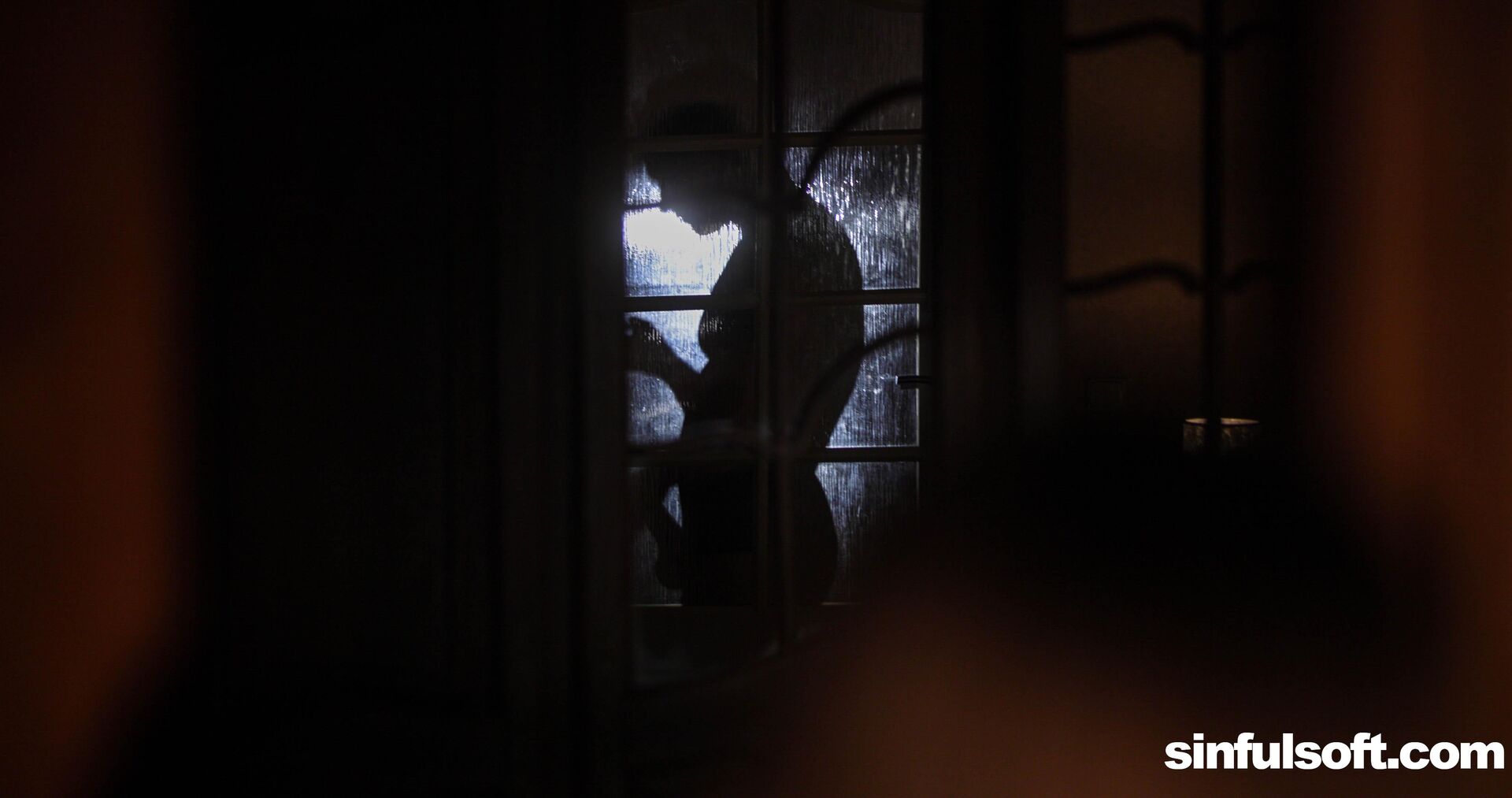 Party Like a Porn Star 1