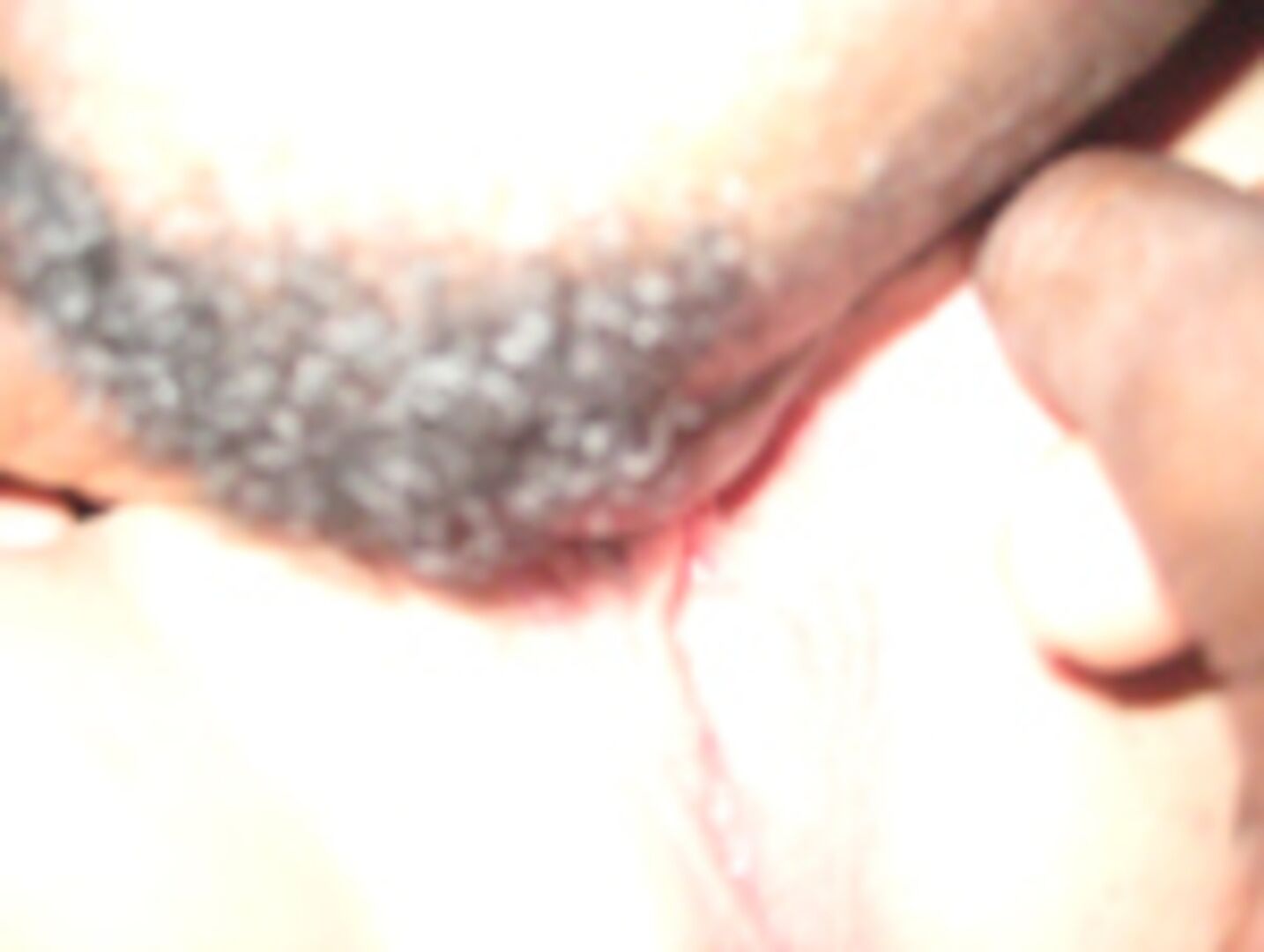 Blondie Takes The Dick