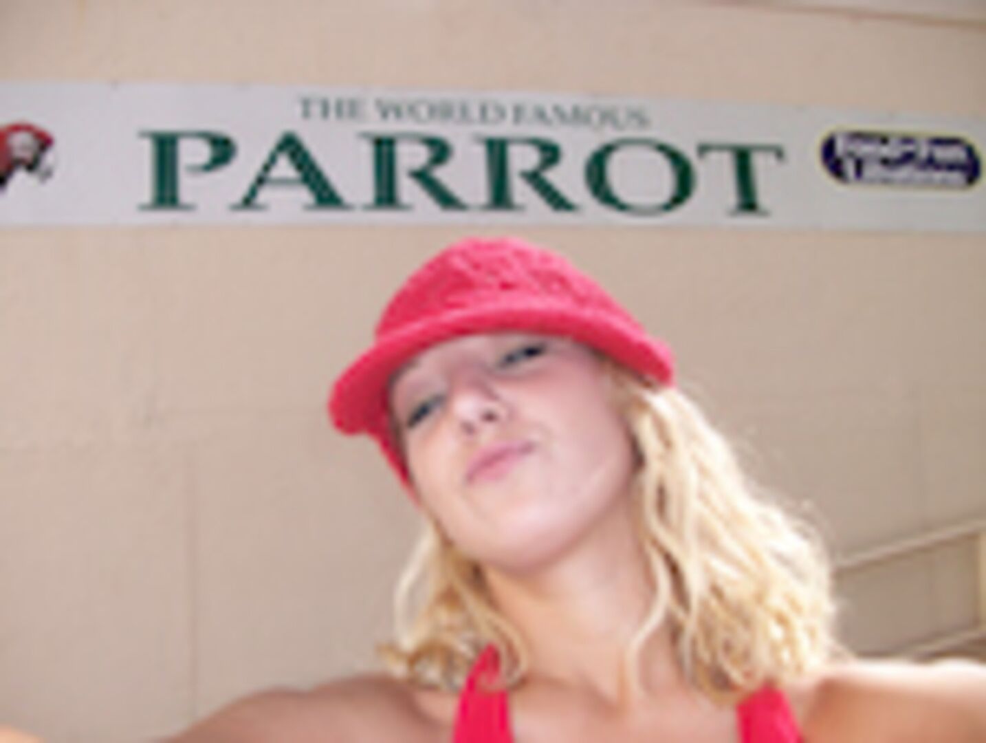 Blondie Takes The Dick