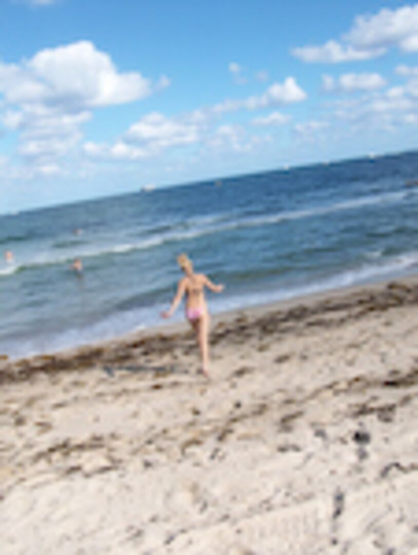 Blondie Takes The Dick