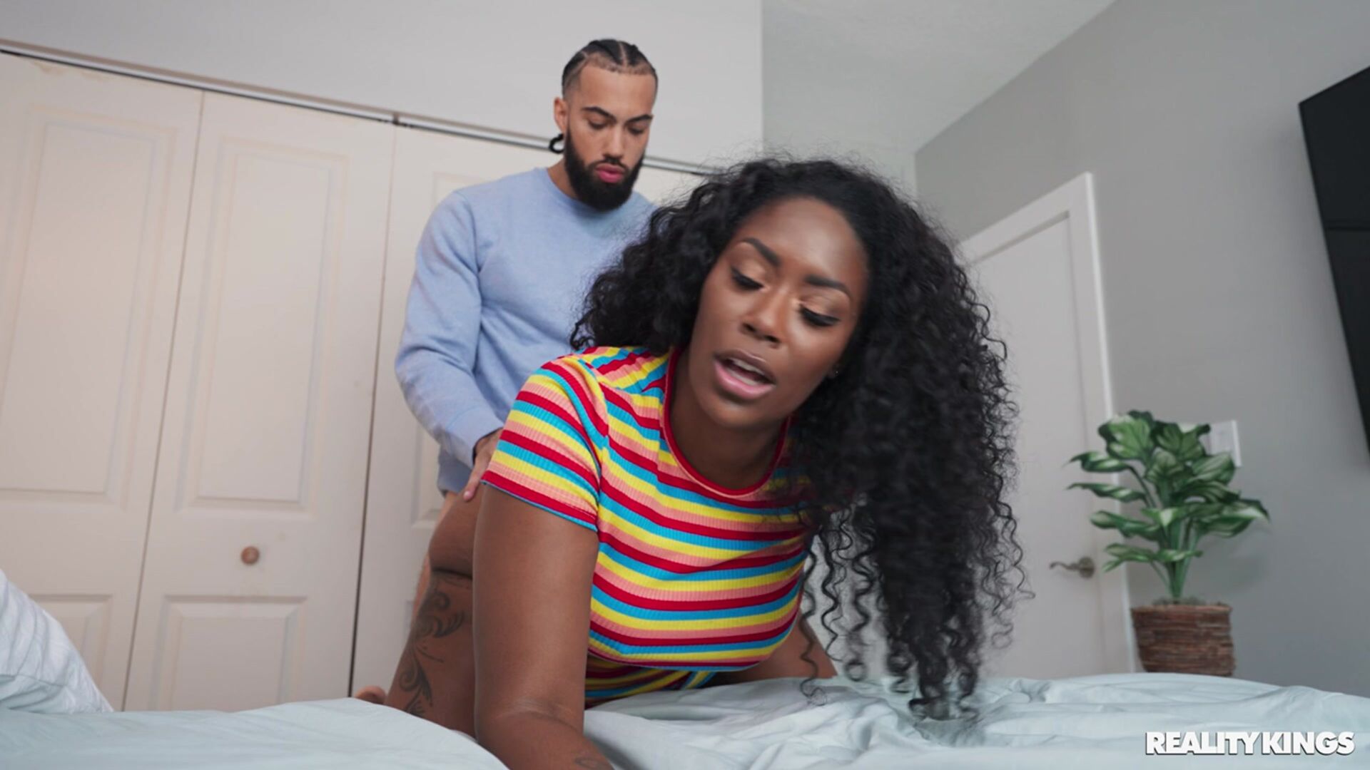 Tiny Top, Big Tits, Can't Lose