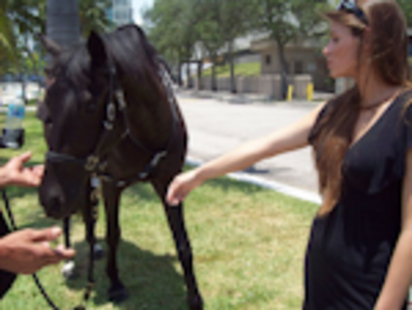 Beautiful Girl Loves Sexy Time