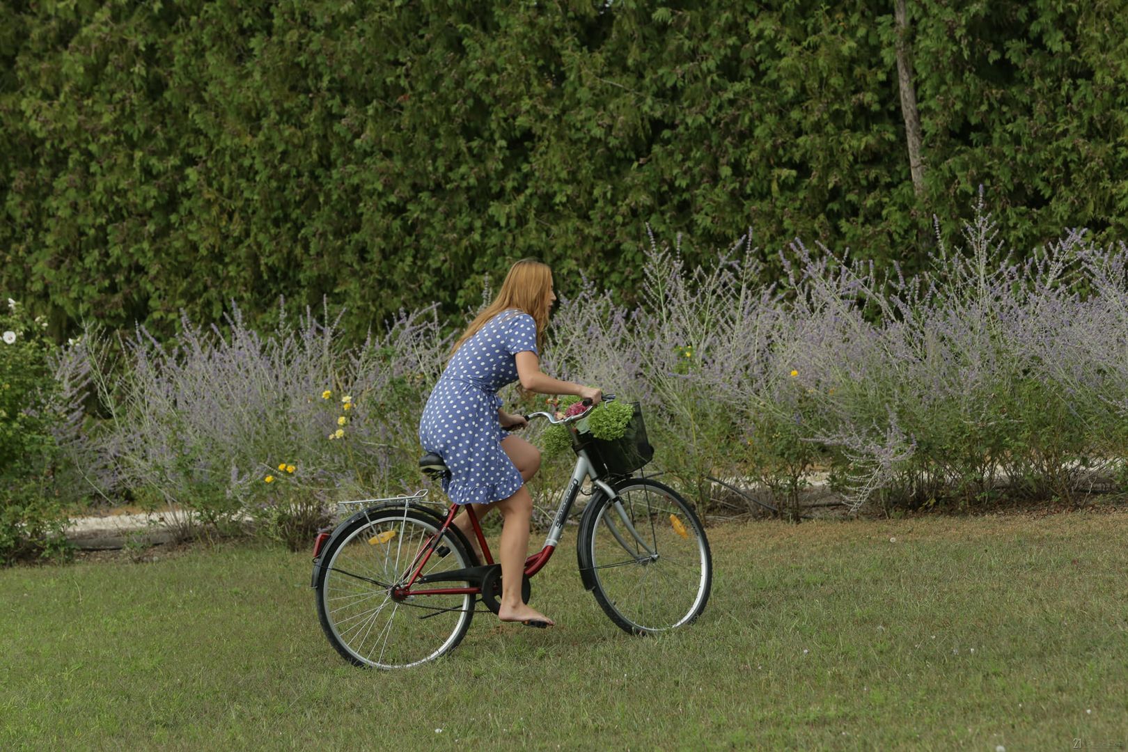 21Naturals Update - Morning Route