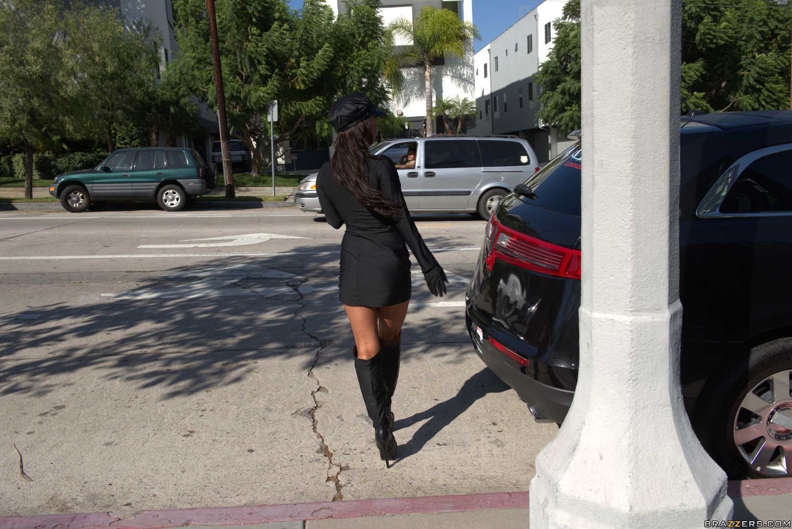 Shagging the Chauffeur