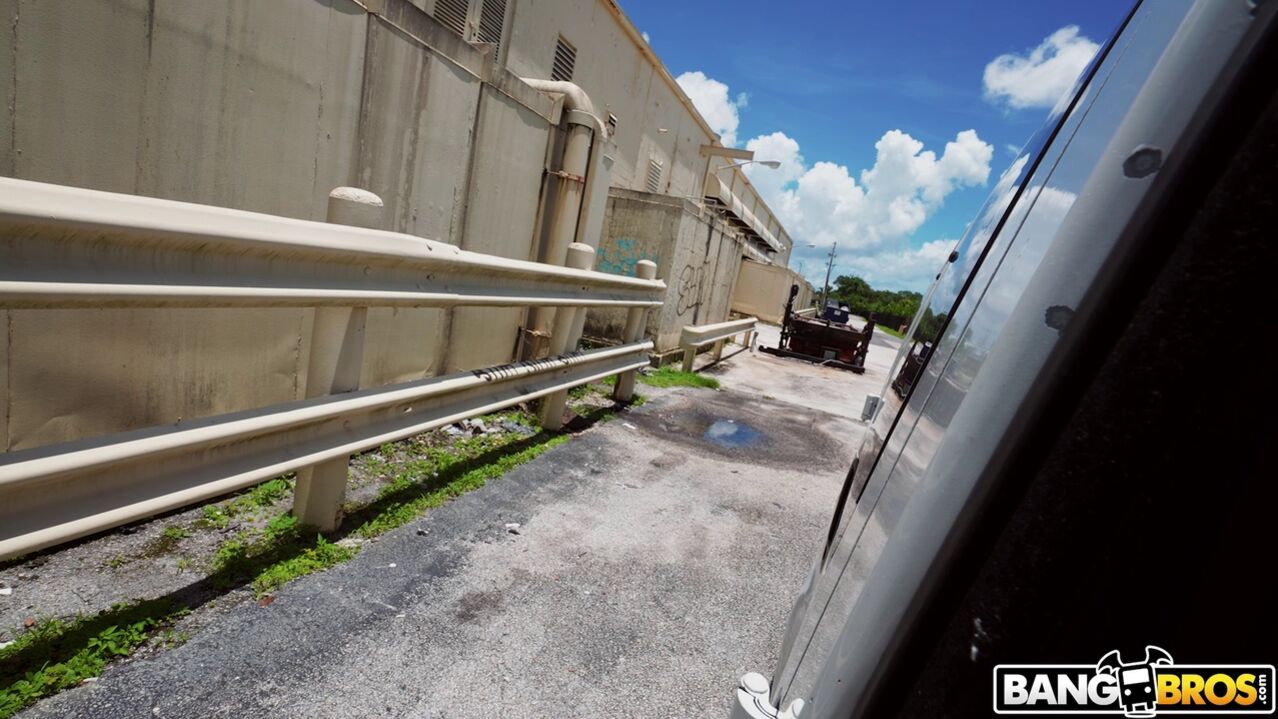 Fucking The Brains Out