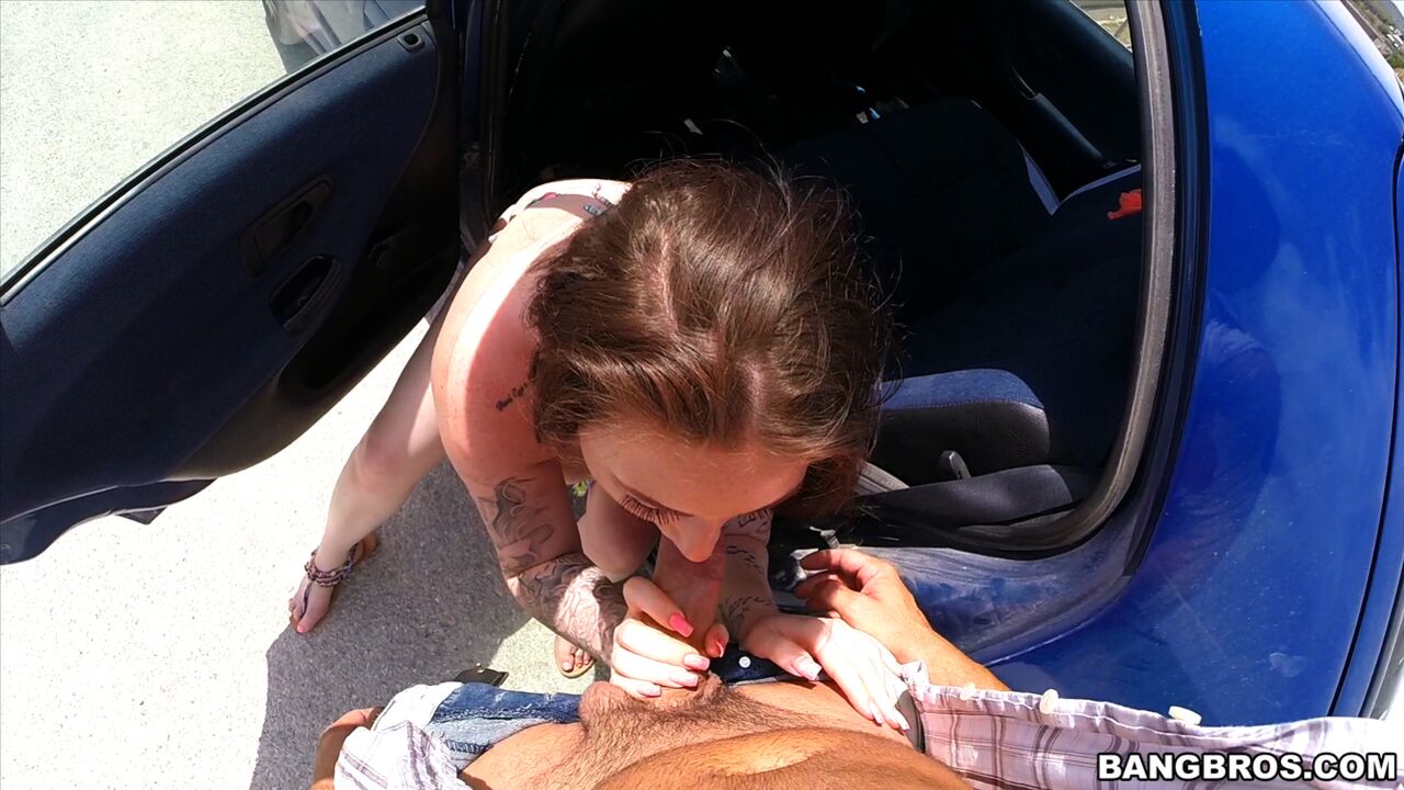 Honk If You’re Horny