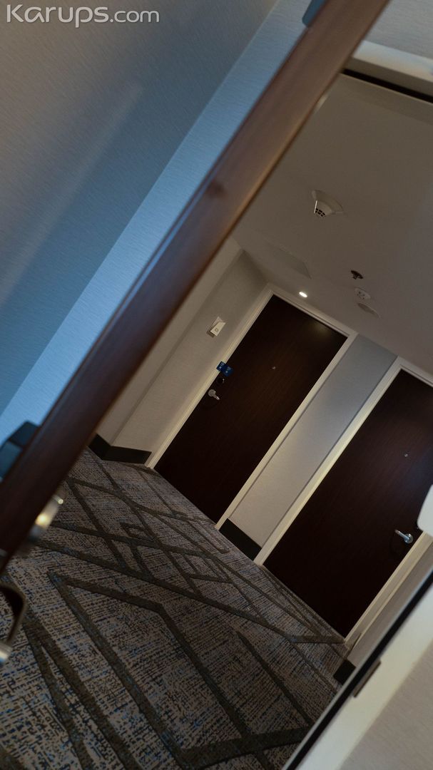 PLEASURE BEFORE WORK