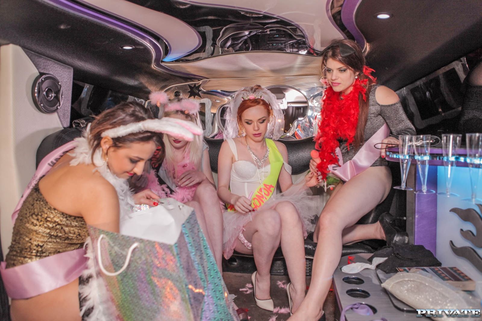 Orgy in the Limousine