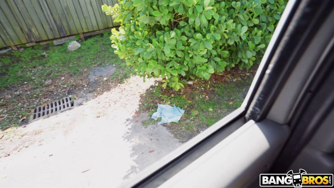 Does The Carpet Match the Dr**es?