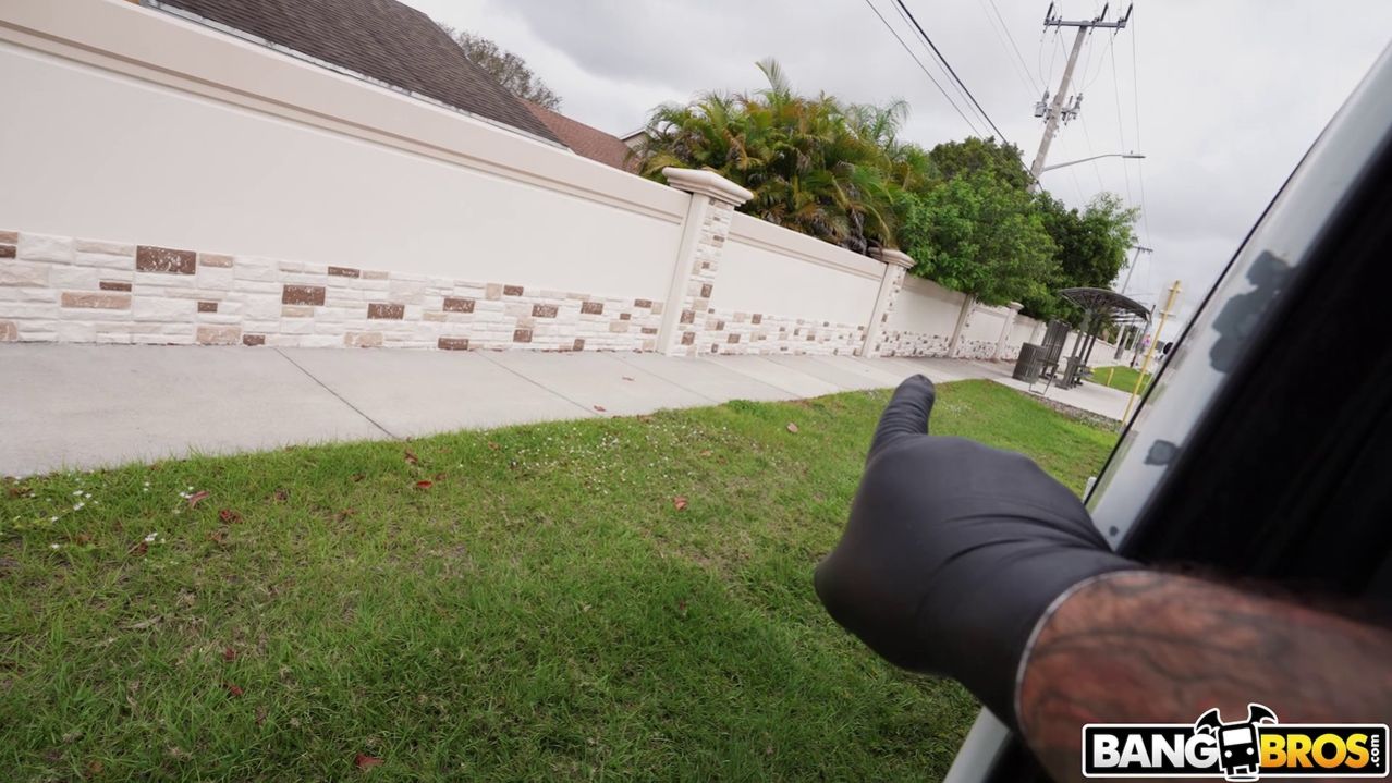 Lap Dancing with Paris Banks