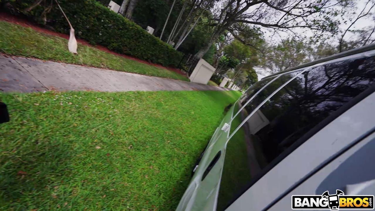 Lap Dancing with Paris Banks