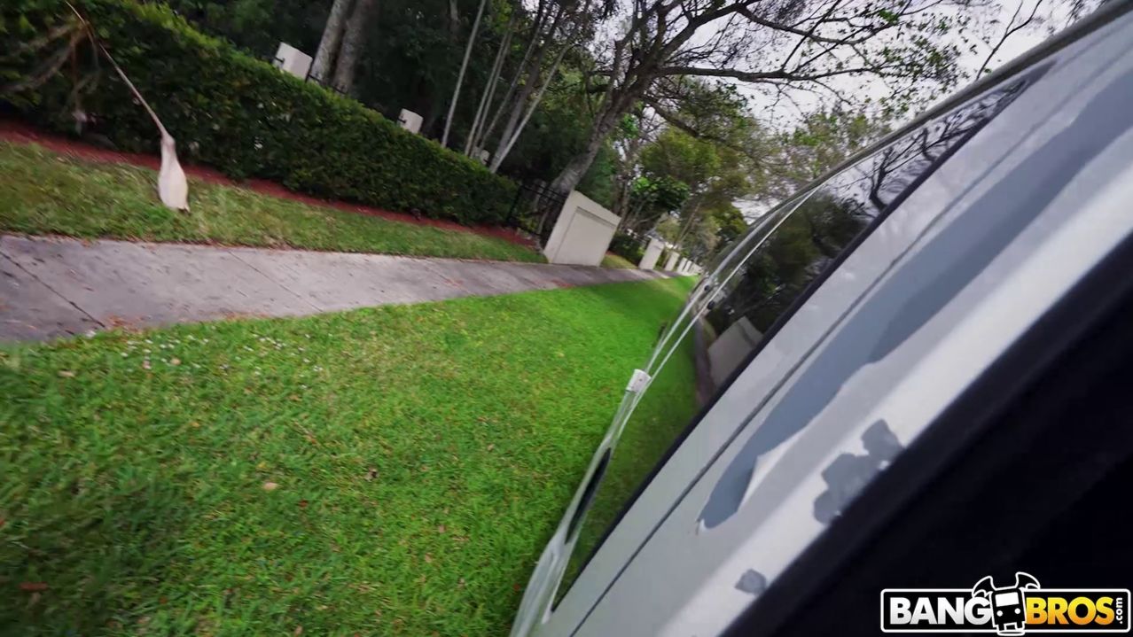 Lap Dancing with Paris Banks