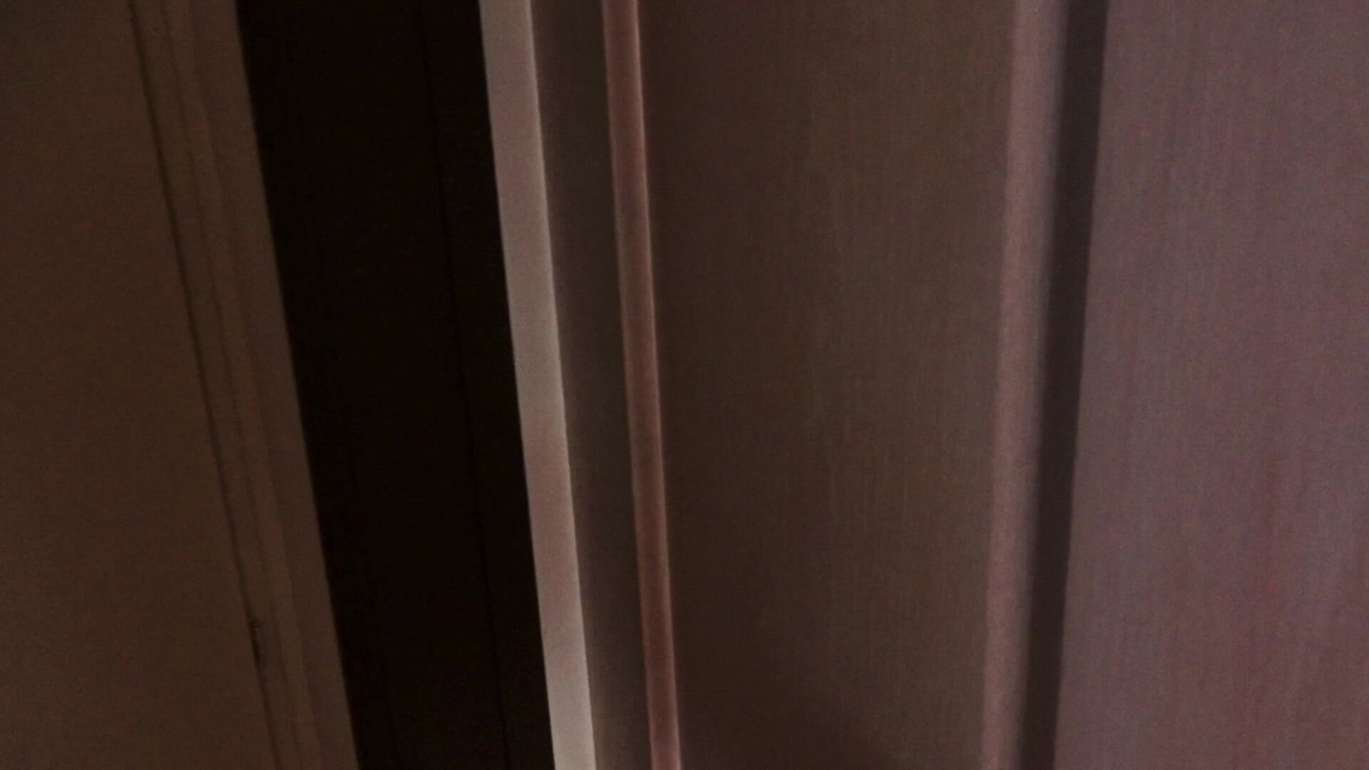 Pin-up Fucks Horny Roomie