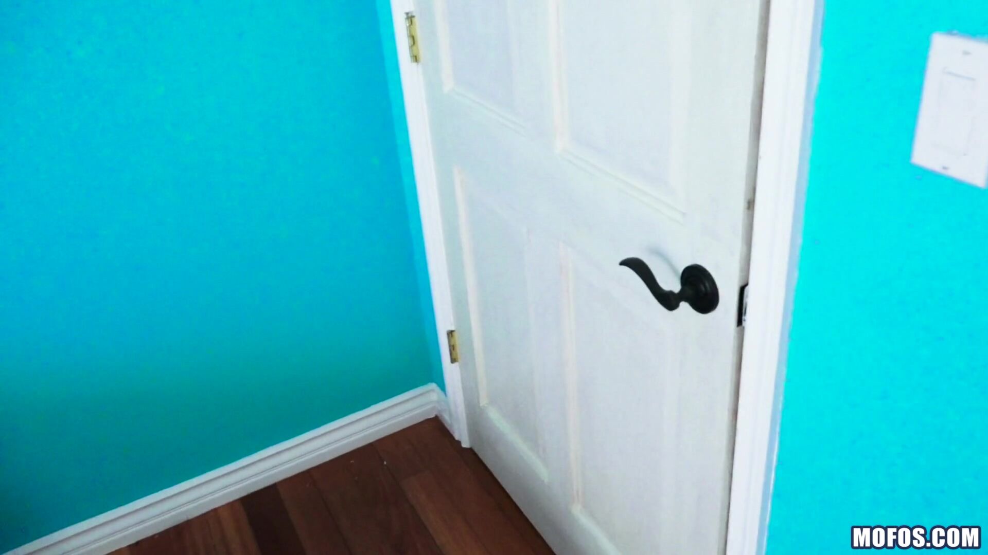 Pin-up Fucks Horny Roomie