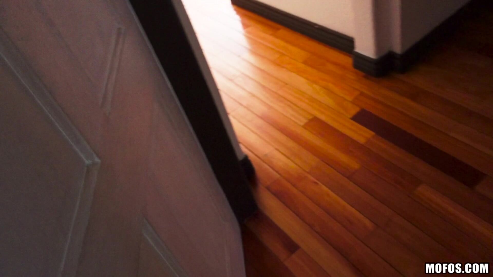 Pin-up Fucks Horny Roomie