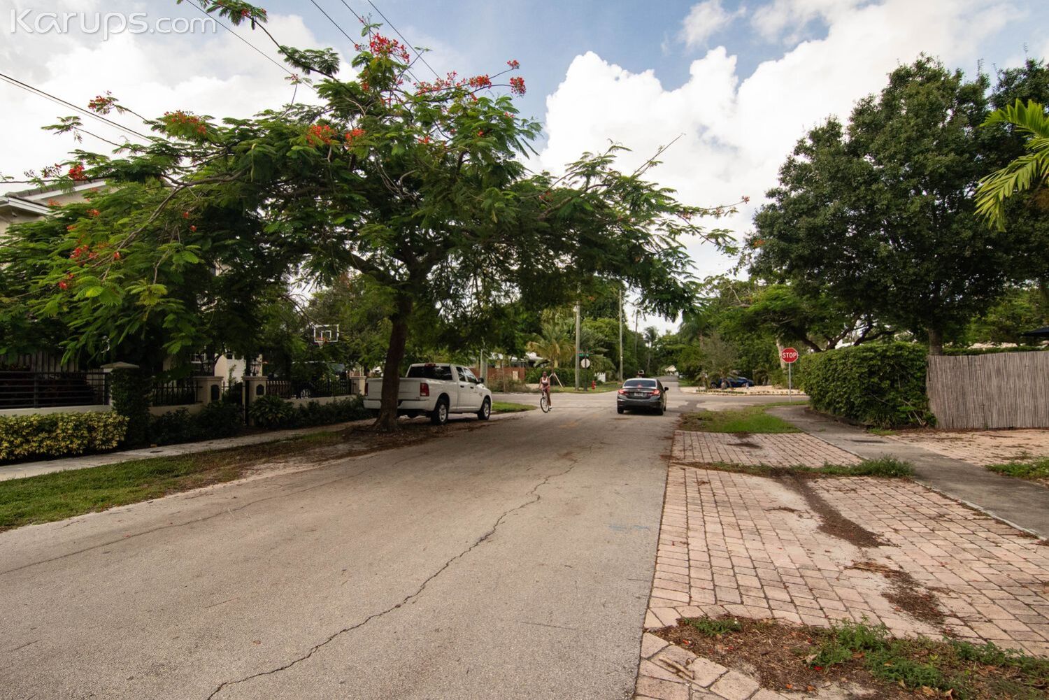 GRATEFUL LITTLE GUEST