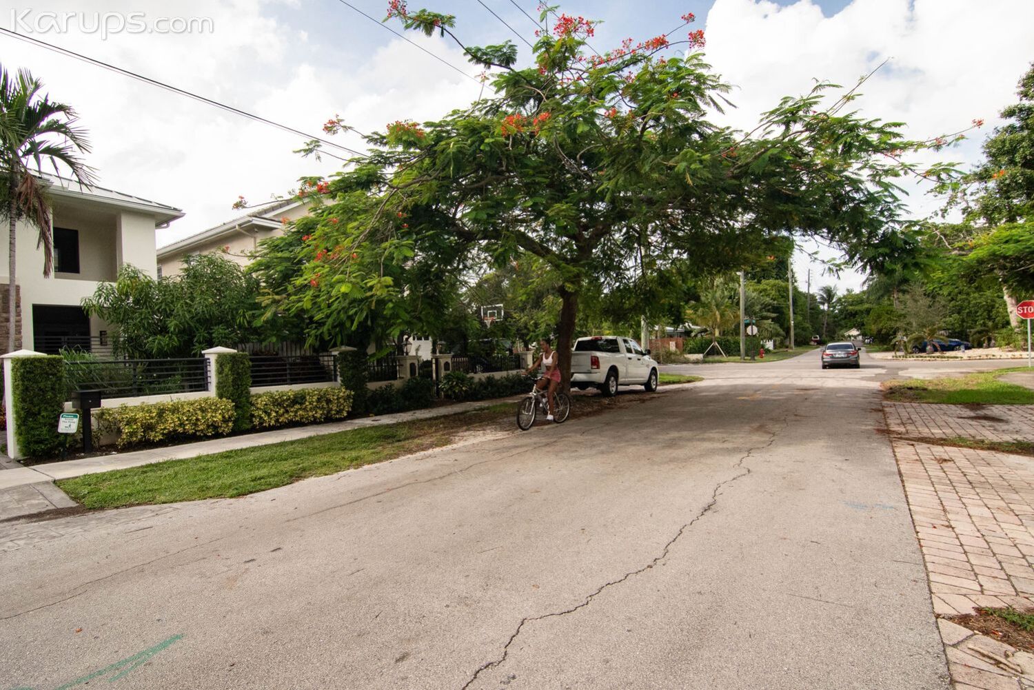 GRATEFUL LITTLE GUEST