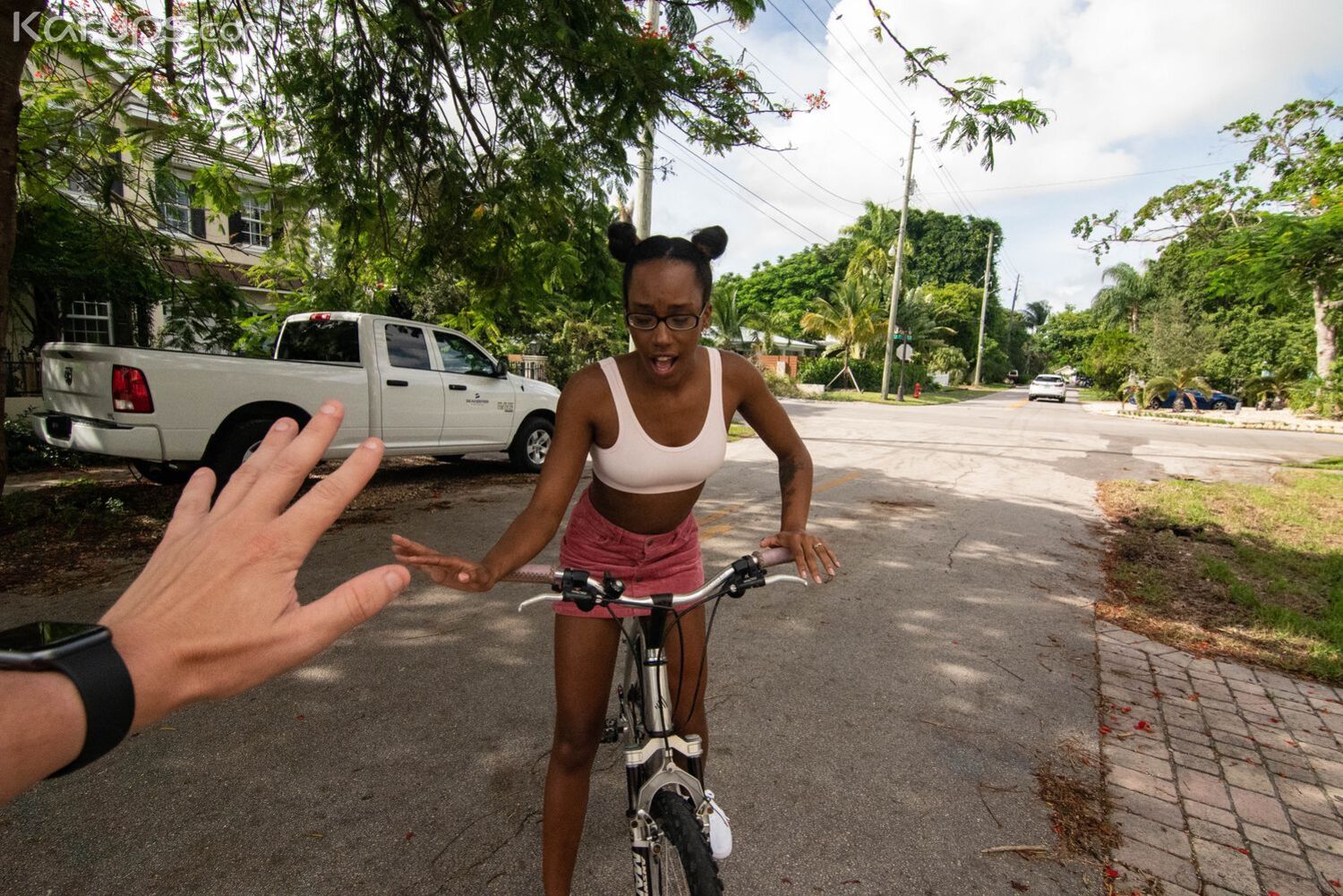 GRATEFUL LITTLE GUEST