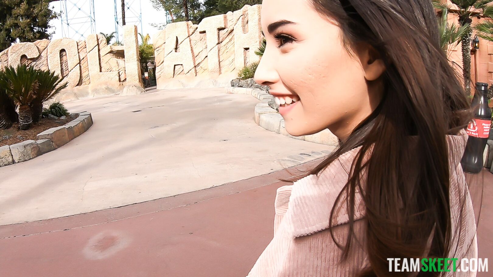 Flashing At The Theme Park