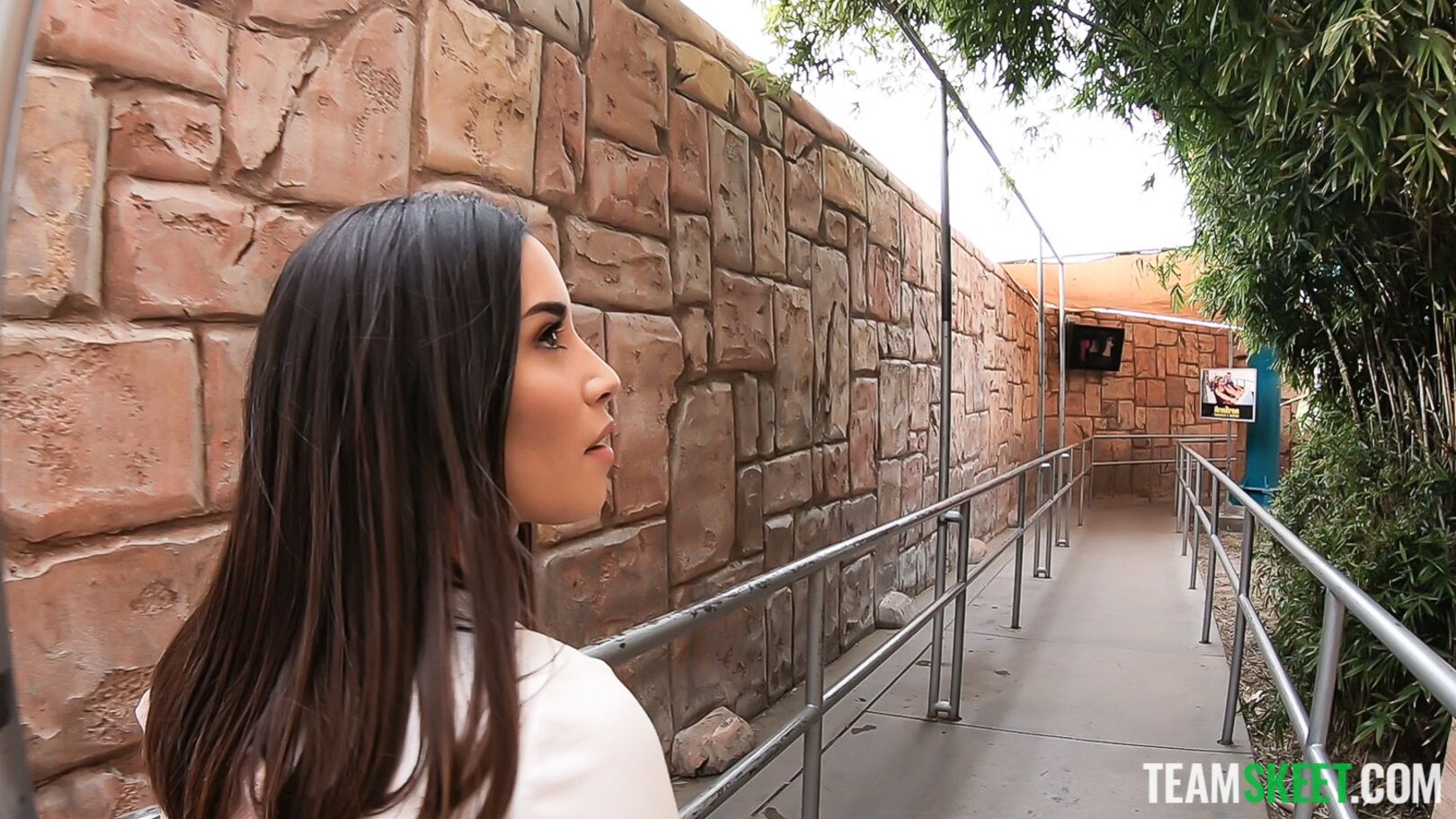 Flashing At The Theme Park