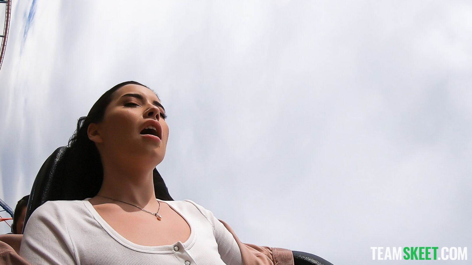 Flashing At The Theme Park