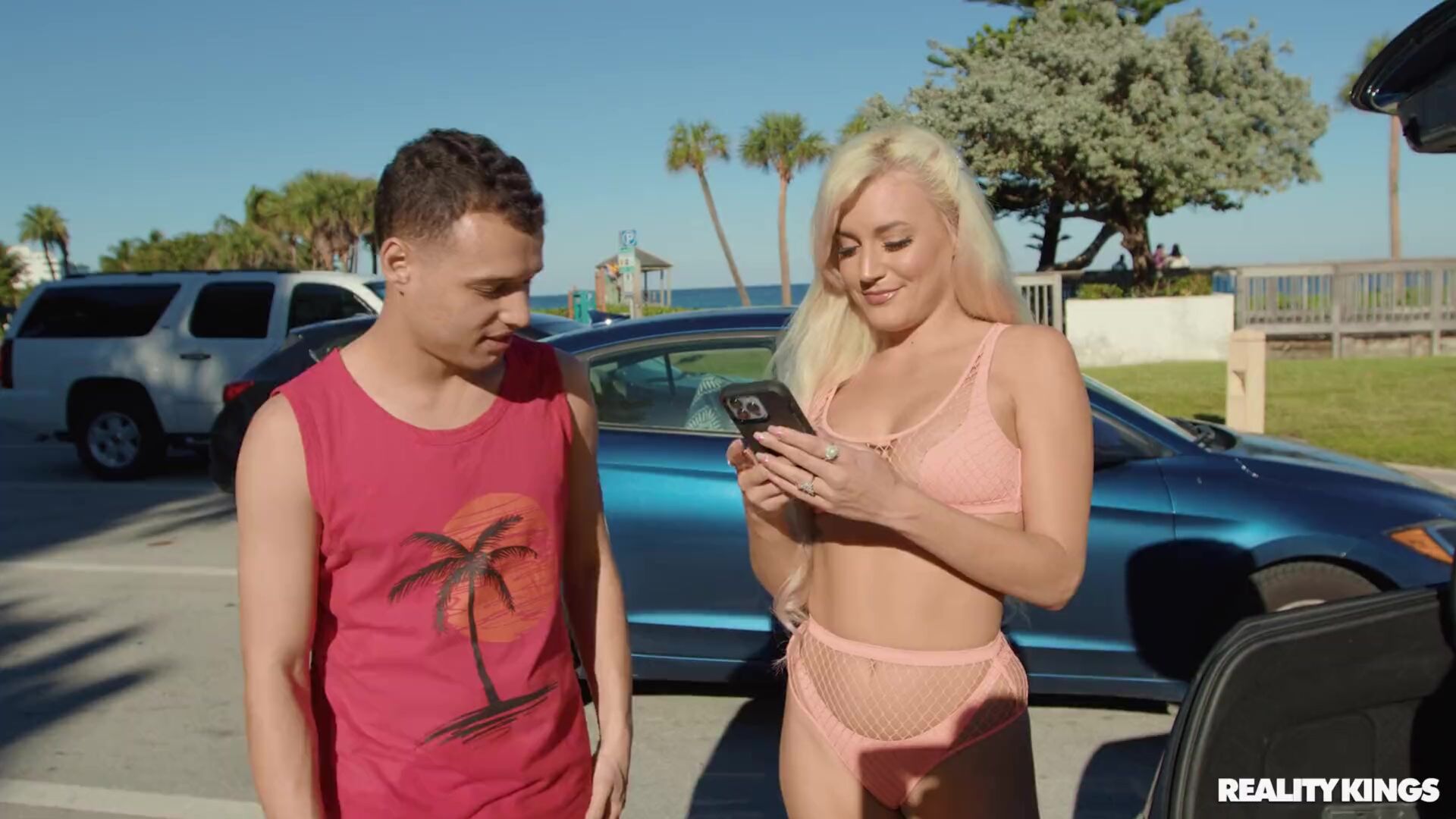 The Art of Picking Up Chicks