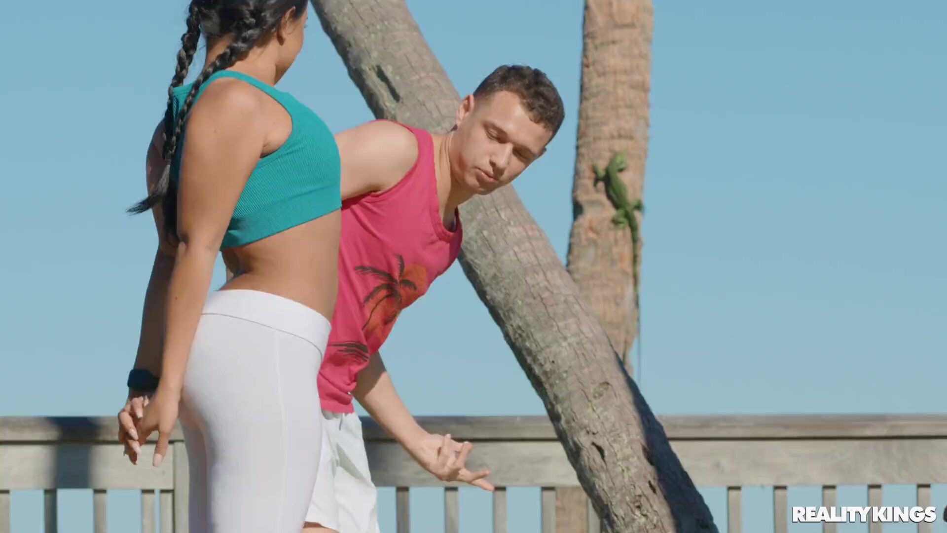 The Art of Picking Up Chicks