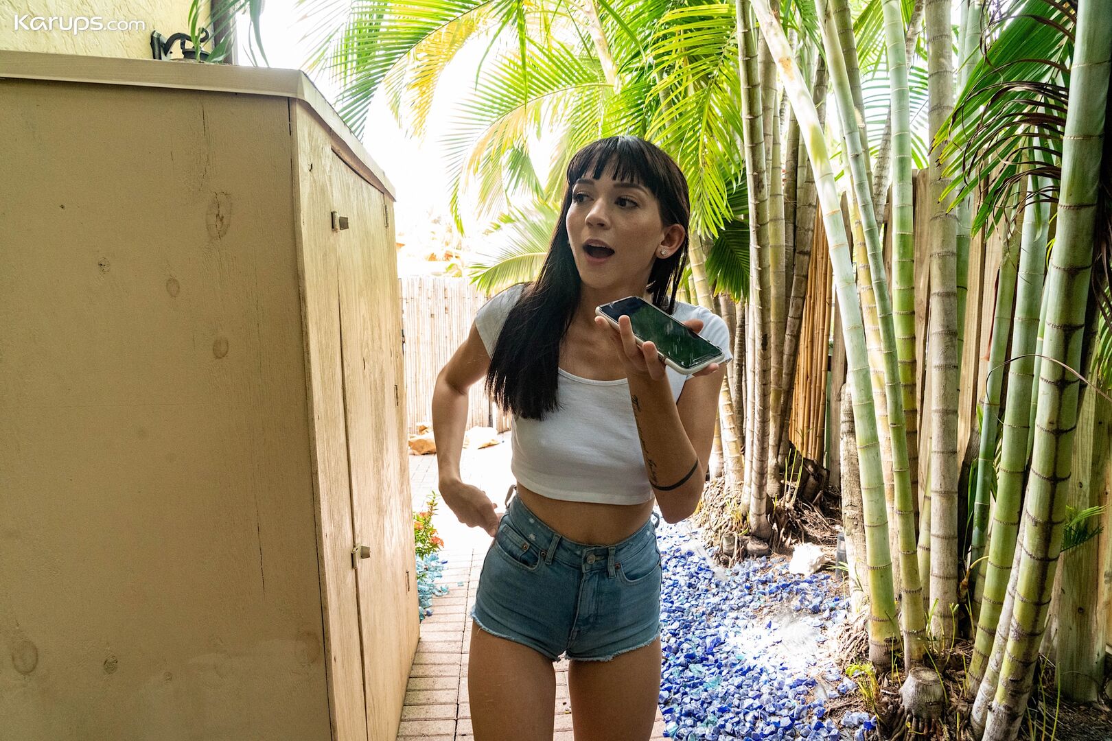 THE PRINCIPAL PLEASURES