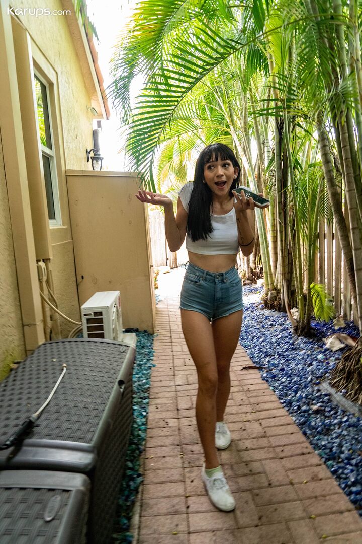 THE PRINCIPAL PLEASURES