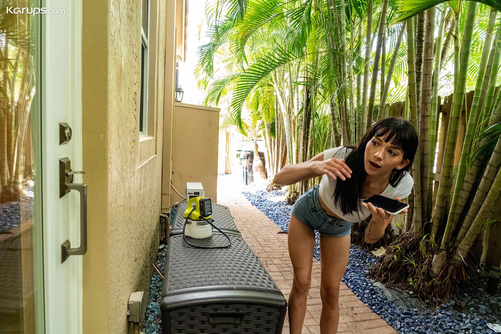 THE PRINCIPAL PLEASURES