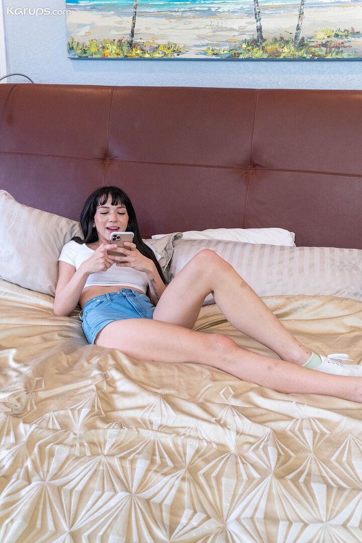 THE PRINCIPAL PLEASURES