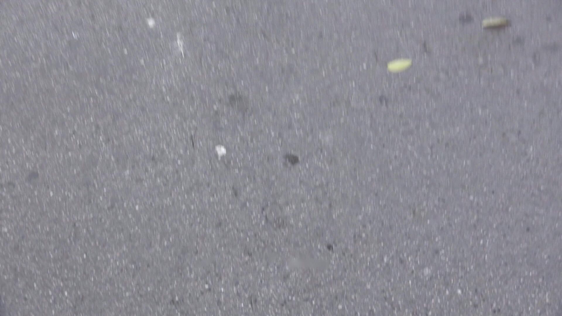 Naughty Tourist Sucks Dick for Cash