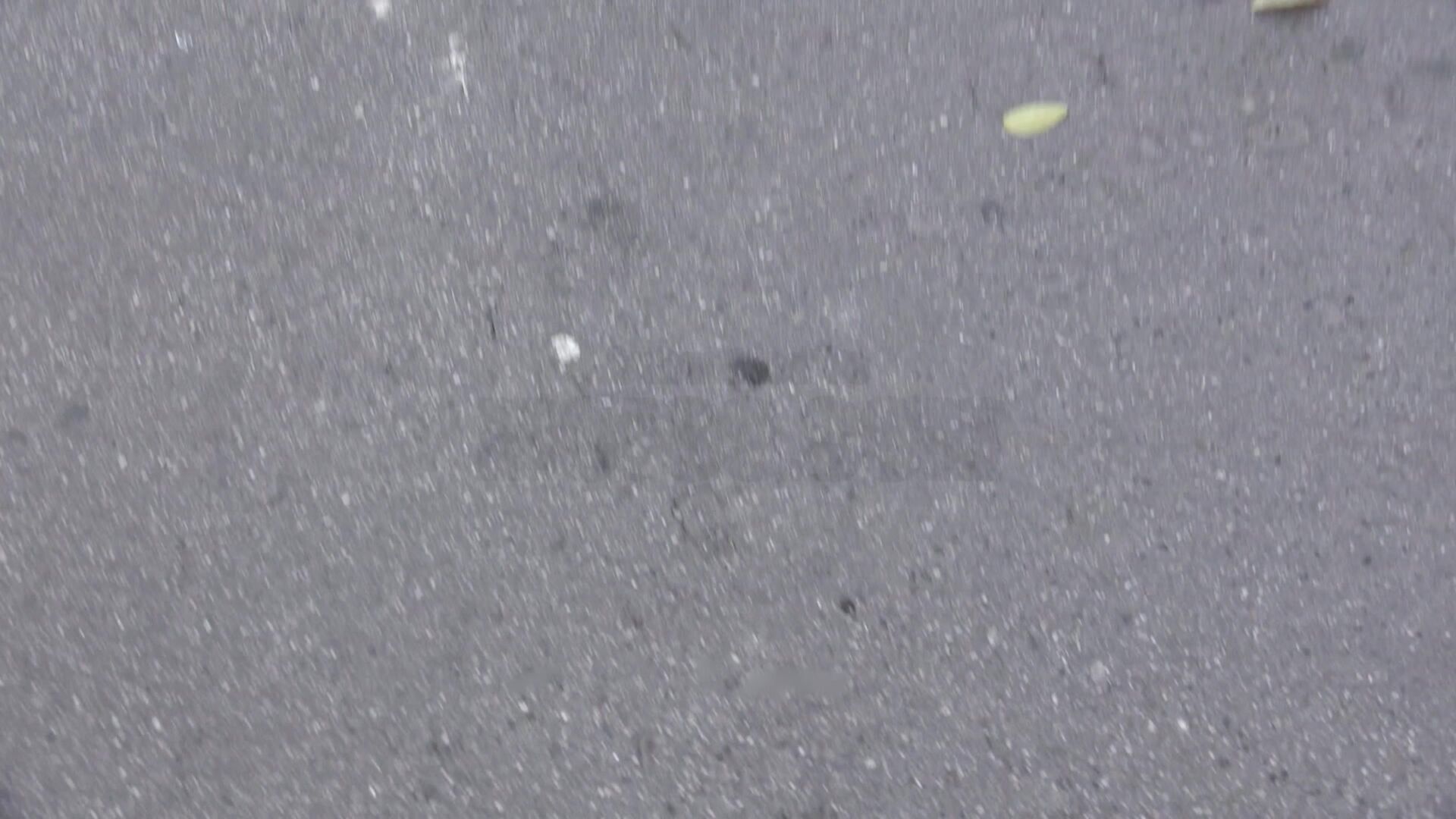 Naughty Tourist Sucks Dick for Cash